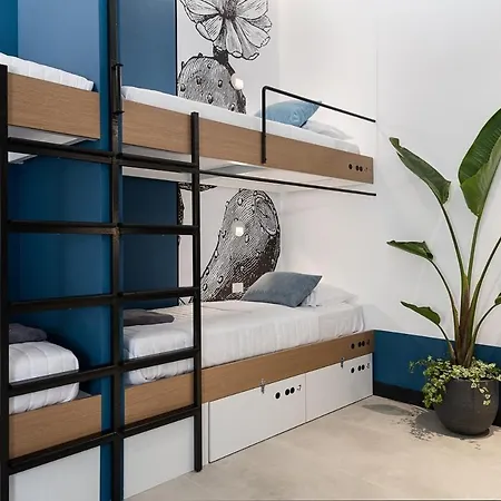 Cocoon City Hostel-2